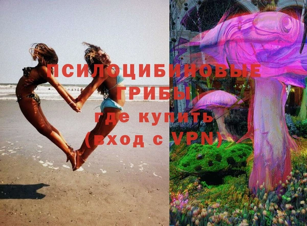 MESCALINE Каменка
