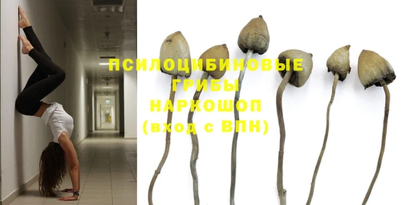 MESCALINE Каменка