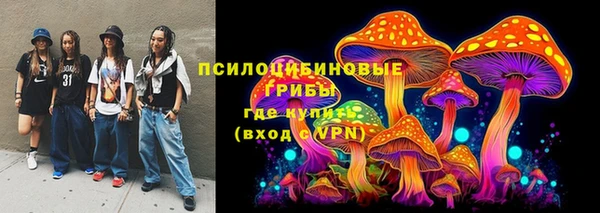 меф Инсар