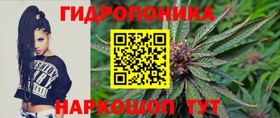 скорость Камышлов