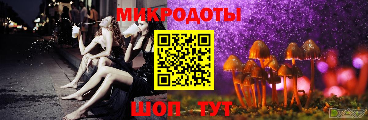 Псилоцибиновые грибы Psilocybine cubensis  Вход с VPN  Красный Сулин 