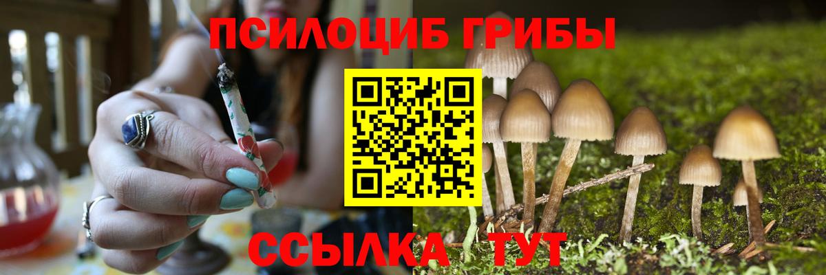 Псилоцибиновые грибы прущие грибы Красный Сулин